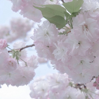 兽设可爱风格设计FurryQQ群